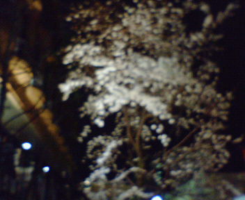 200504062332000 (2).jpg